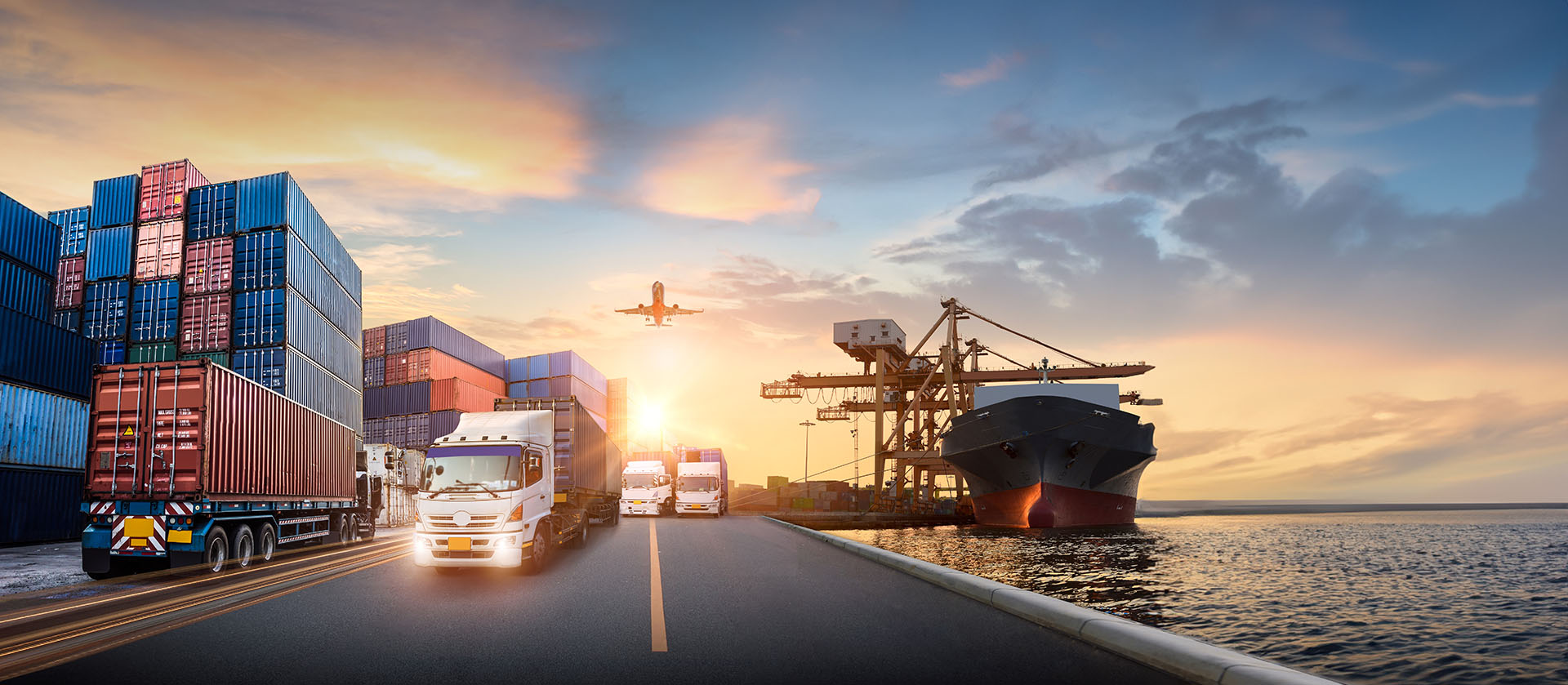 Dynamics 365 Transport and logistics